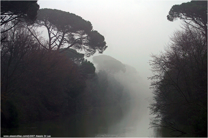 Ancora nebbia