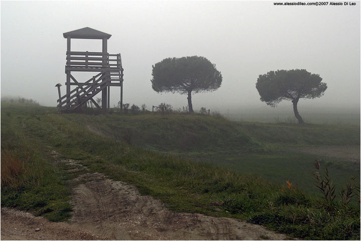 Torretta di avvistamento dell'oasi di Ortazzo