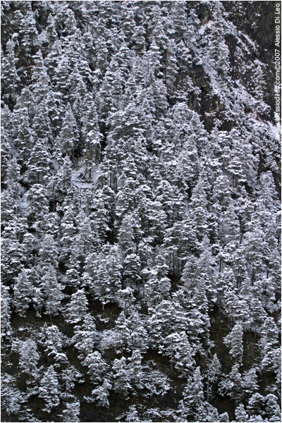 Laghetto innevato