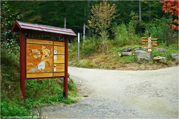 TIER FREIGELNDE II Bayerischer Wald