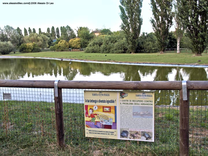 Il laghetto del parco urbano di Forlì