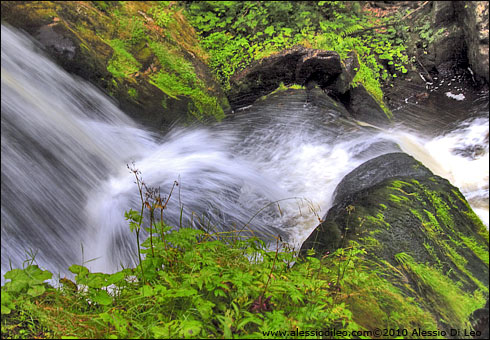 Triberg e le cascate della Foresta Nera, prezzi e cucù