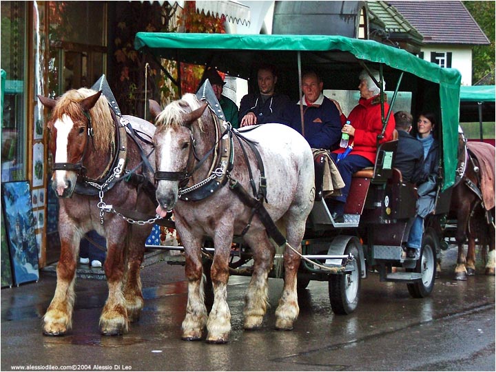 Le carrozze che portano all'entrata del castello