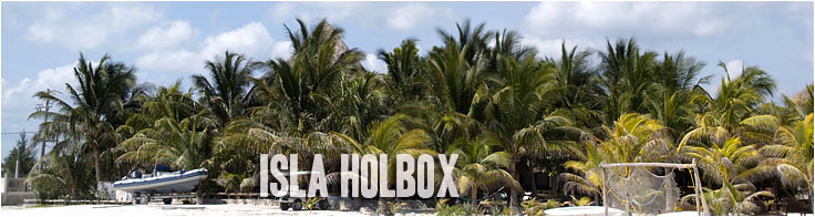 Clicca per tornare a Isla Holbox
