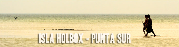 Clicca per tornare a Isla Holbox